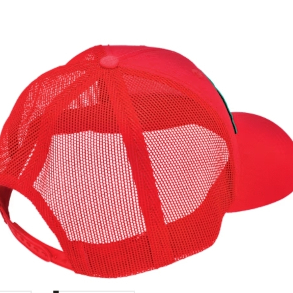 🧢🐟Bass Pro Shops Snapback Christmas Cap🐟🧢 - Picture 2 of 5